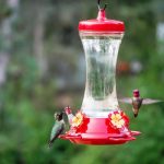 Woodstream 476-3 Perky Pet Glass Hummingbird Feeder, 4 Ports ~ 20 oz Capacity