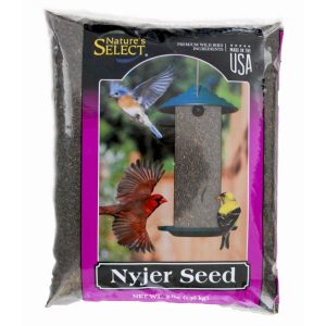 Nature's Select Nyjer Wild Bird Feed